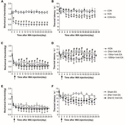 Electroacupuncture Potentiates Cannabinoid Receptor-Mediated Descending Inhibitory Control in a Mouse Model of Knee Osteoarthritis